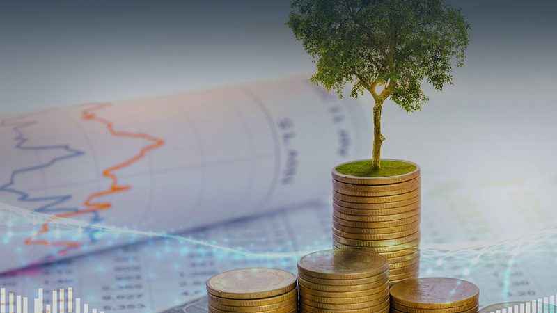 企业管理咨询师认证报考人群